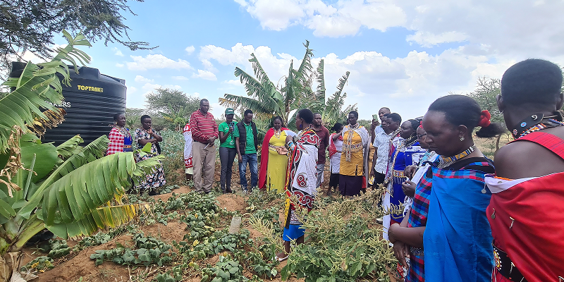 When the Cattle Leave: How Rural Women in Kenya Are Building Climate Resilience